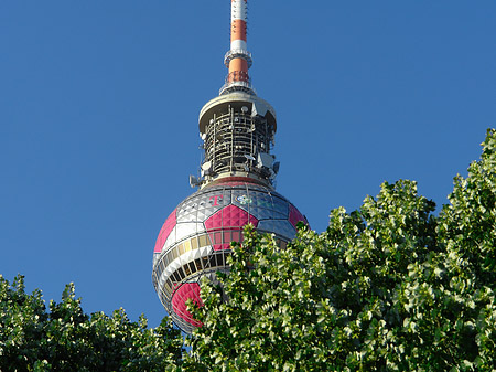 Foto Fernsehturm und Bäume - Berlin