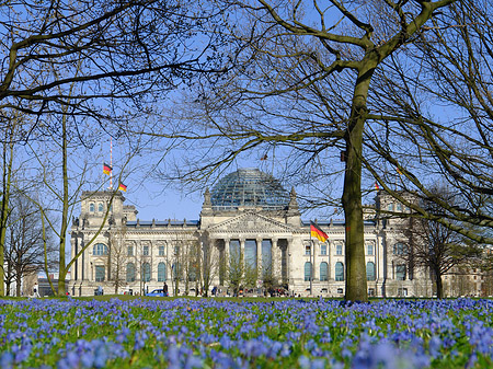 Blumenwiese am Reichstag Fotos