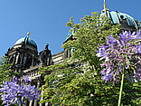 Berliner Dom Ansicht von Citysam  