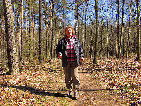 Grunewald & Jagdschloss Grunewald Impressionen Attraktion  