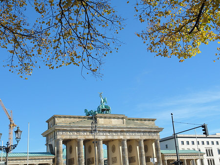 Foto Brandenburger Tor durch Bäume - Berlin