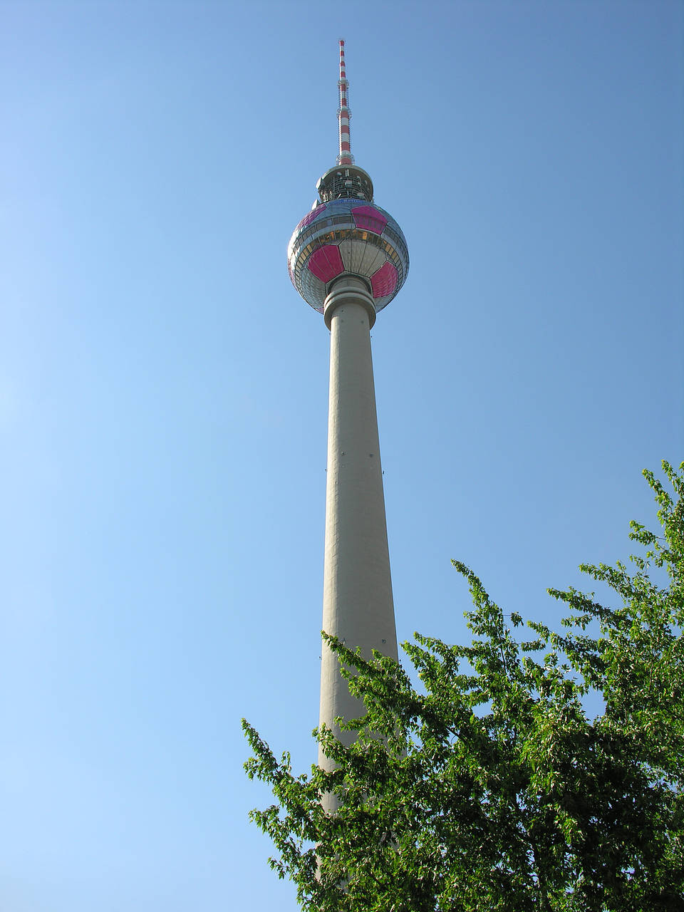 Foto Fernsehturm und Bäume - Berlin