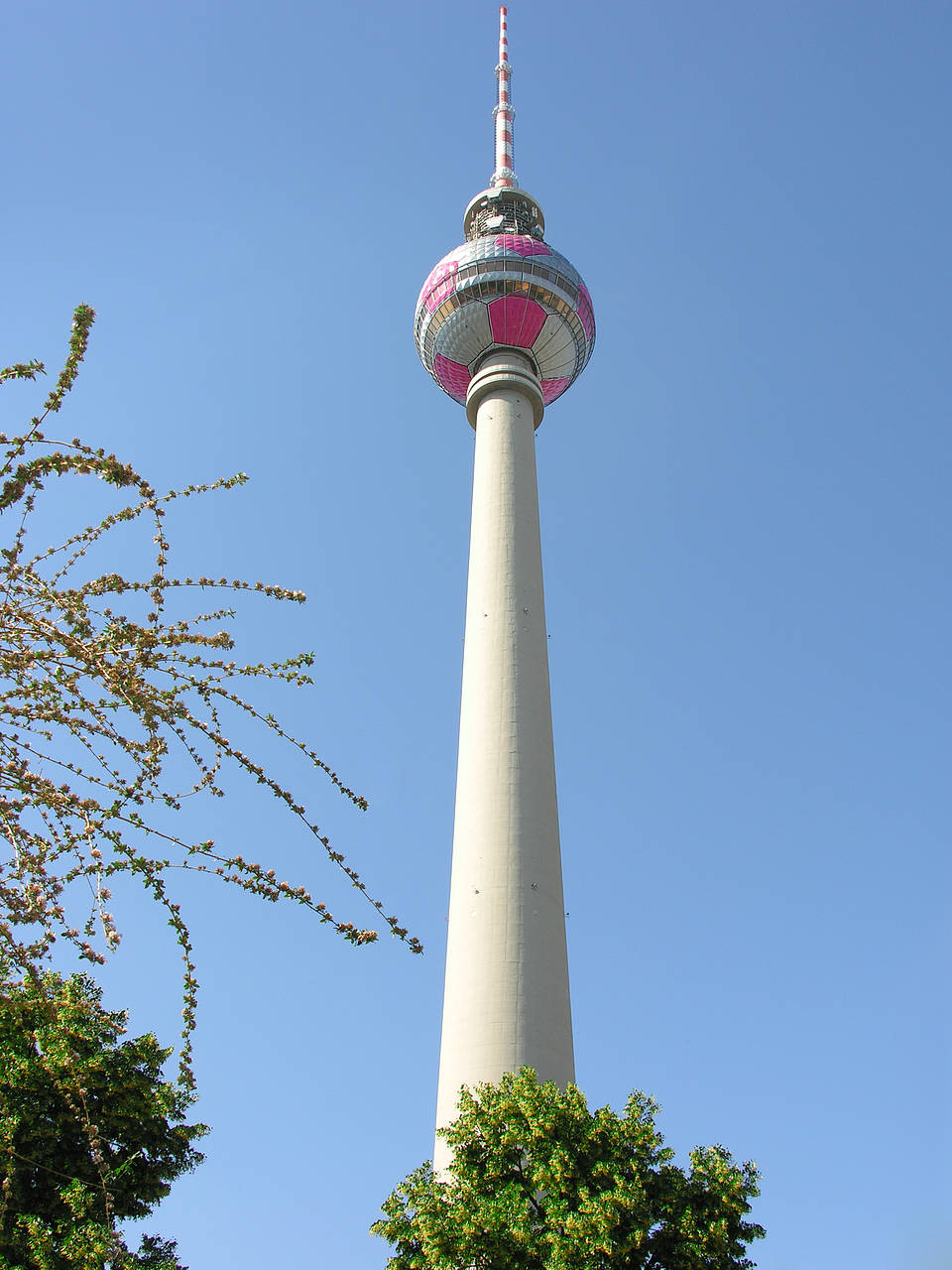 Fernsehturm und Bäume Fotos