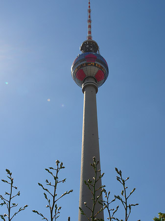 Fotos Fernsehturm und Bäume