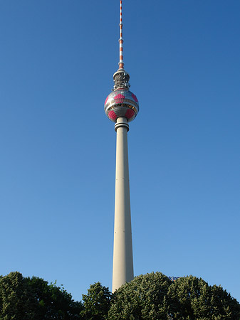 Foto Fernsehturm und Bäume - Berlin