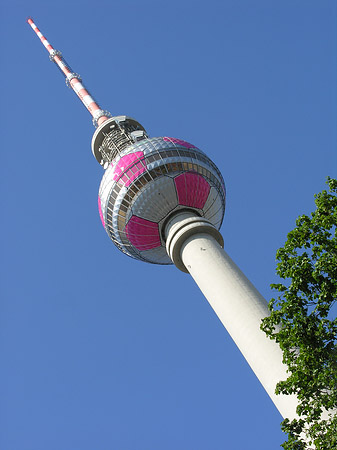 Fotos Fernsehturm und Bäume | Berlin