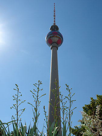 Fernsehturm gegen die Sonne Foto 