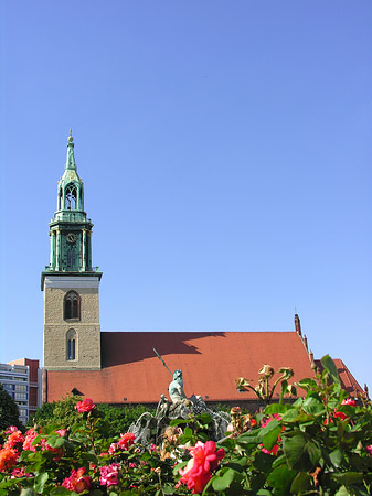 Neptunbrunnen mit Marienkirche Foto 