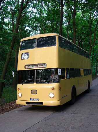 Bus zur Pfaueninsel Foto 