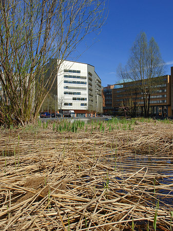 Naturraum am Theaterufer - Berlin (Berlin)