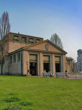Wiese - Berlin (Berlin)