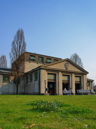 Fotos Wiese