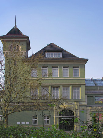 Eingang zum Zoo
