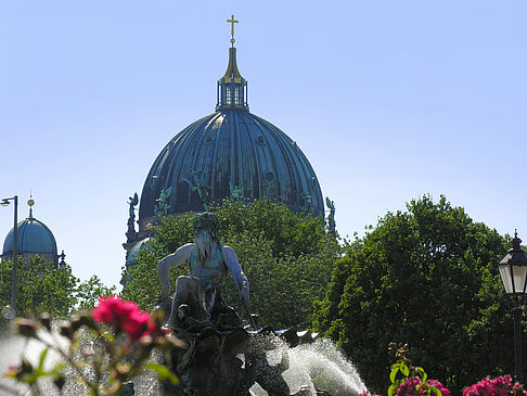Foto Berliner Dom - Berlin