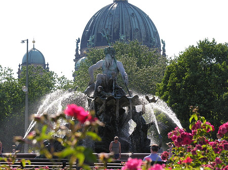 Fotos Berliner Dom | Berlin