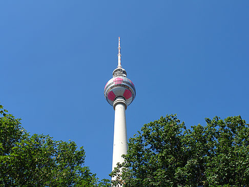 Foto Fernsehturm und Bäume