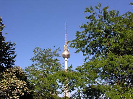 Fernsehturm - Berlin (Berlin)