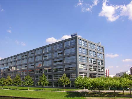 Gedas - Berlin (Berlin)
