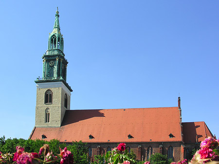 Marienkirche Fotos