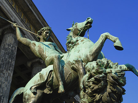Pferdestatue - Berlin (Berlin)