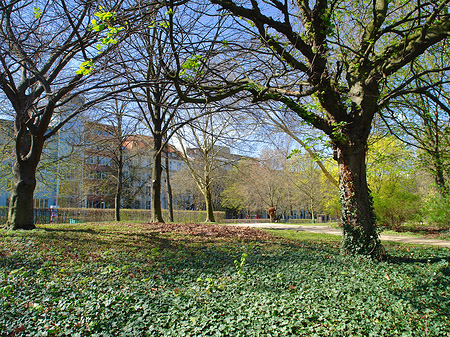 Foto Parkanlage