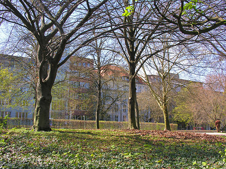 Fotos Parkanlage | Berlin