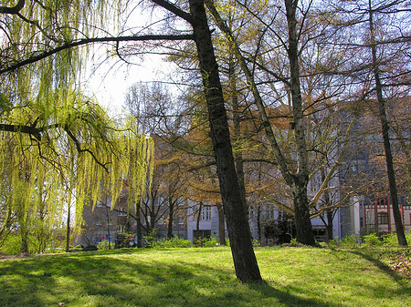 Fotos Parkanlage | Berlin