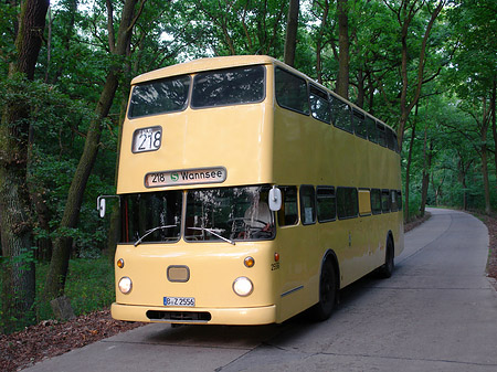 Bus zur Pfaueninsel