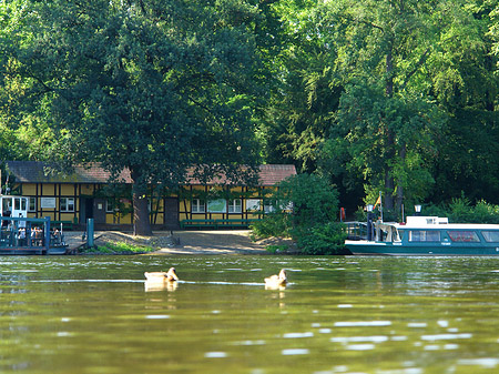 Foto Fähre zur Pfaueninsel