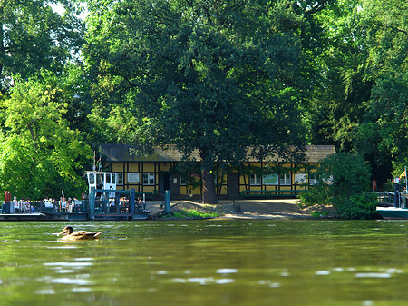 Foto Fähre zur Pfaueninsel - Berlin