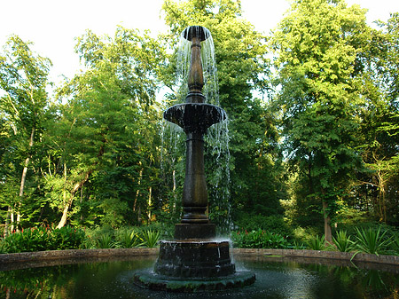 Fontäne auf der Binnenalster