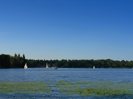 Fotos Havel