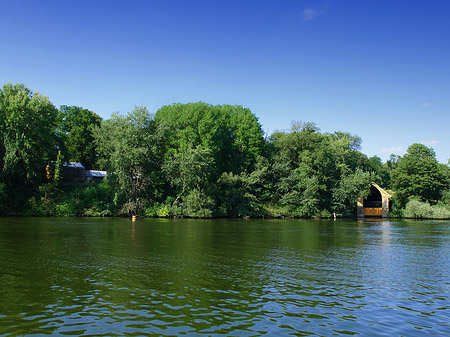 Foto Pfaueninsel im Sommer