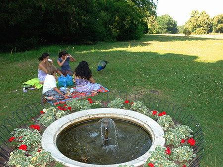 Liegewiese auf der Pfaueninsel Fotos