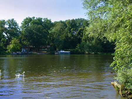 Fotos Ufer an der Pfaueninsel | Berlin