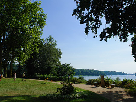 Wiese auf der Pfaueninsel