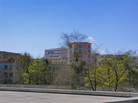 Fotos Frühlingsbäume