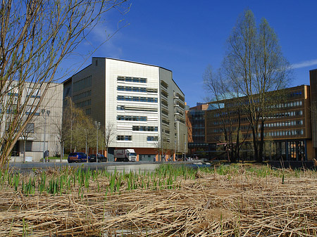 Naturraum am Theaterufer - Berlin (Berlin)