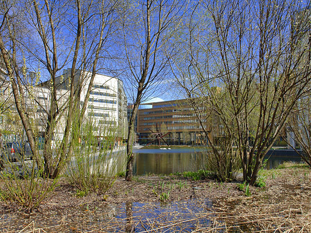 Naturraum am Theaterufer - Berlin (Berlin)