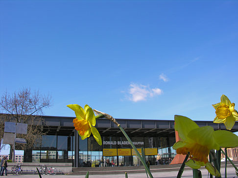 Frühling Fotos