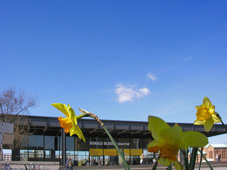 Neue Nationalgalerie Fotos