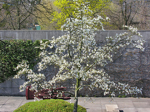 Skulpturengarten - Berlin (Berlin)