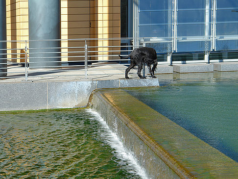 Wasserfälle - Berlin (Berlin)