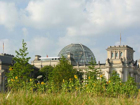 Foto Reichstag