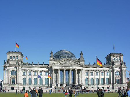 Wiese Fotos