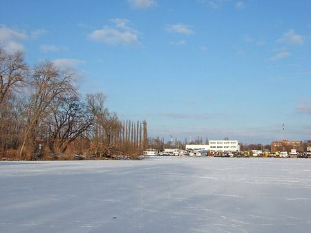Foto Eis