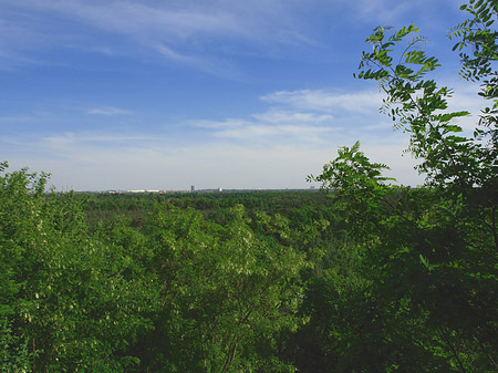 Impressionen vom Teufelsberg - Berlin (Berlin)