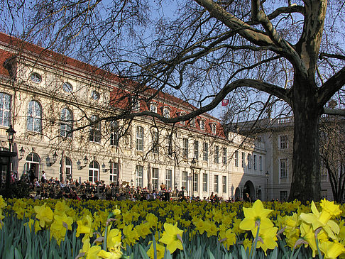 Foto Schinkelklause - Berlin
