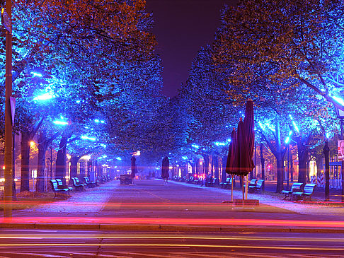 Unter den Linden - Berlin (Berlin)