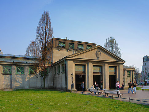 Fotos Wiese | Berlin